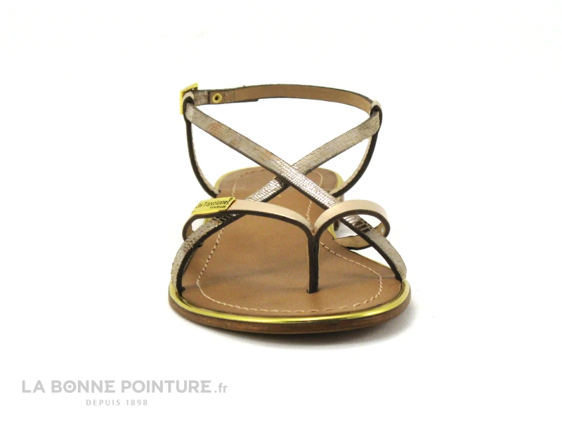 Tropeziennes MONACO Or Serpent - Plagette Tong 2 Tropeziennes MONACO Or Serpent - Plagette Tong – Image 2