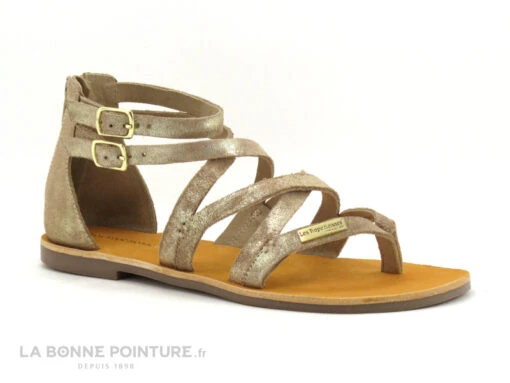 Tropeziennes PHARELL Beige Or - 23084 - Sandale Montante Tong
