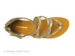 Tropeziennes PHARELL Beige Or - 23084 - Sandale Montante Tong -Célèbre Chaussures Magasin cd24607c73b9e66c561f35ea11d5d5ef img 2387.jpg 149330