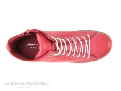 Andrea Conti 0341500-084 Koralle - Basket Montante Cuir Rose -Célèbre Chaussures Magasin cd24607c73b9e66c561f35ea11d5d5ef img 3221.jpg 163887