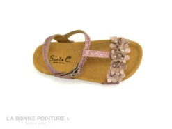 Sonia C BRINA Rose - Paillettes Et Fleurs - Sandale Fille -Célèbre Chaussures Magasin cd24607c73b9e66c561f35ea11d5d5ef img 7139.jpg 136808